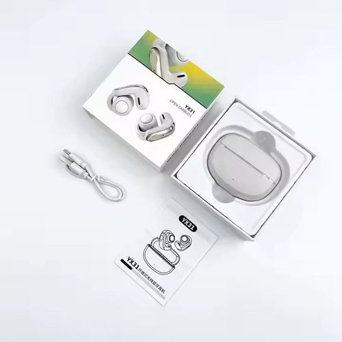 Écouteurs Ergonomique Premium